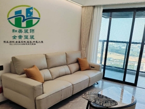 虎門印象雅居裝修完工方案